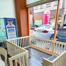 댕냥이살롱 이미지