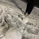 숯고개어린이공원 이미지