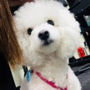 크로스핏 한옥 | [크로스핏한옥] 전주 크로스핏한옥에서 크로스핏 정규수업 참여 후기