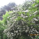 대리경로당 이미지