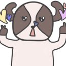 펫클럽샵