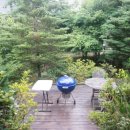 클럽타피올라 이미지