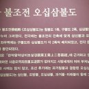 수보 티스토리