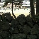 돌담이네 이미지