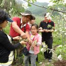 꽃피는산골 이미지