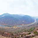 매화마을길 이미지