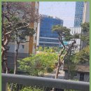 더좋은힐스공인중개사사무소 이미지