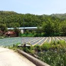 상주공인중개사사무소 이미지