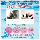 약산미용실 - 고양시 일산동구 | 약산미용실