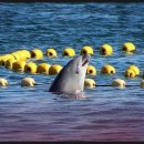 더코브(주) 이미지