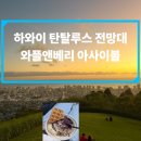 파노라마여행사주 | [하와이 신혼여행] 탄탈루스 전망대/와플앤베리(일몰, 주차, 야경, 입장료, 하와이 아사이볼 맛집추천)