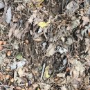 도토리가루2키로 율피가루 이미지