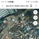 8월4일 정기라이딩 선장교 08:00 시.. 이미지