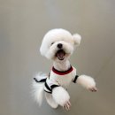 포우 파라다이스 이미지