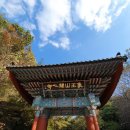 서산개심사&amp;서산국화축제 다녀와서 이미지