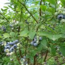 기순농장 이미지