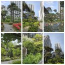 고덕나이스공인중개사사무소 이미지