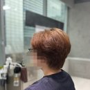 비롬헤어 정자본점 이미지