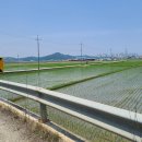 옥산리농로 이미지