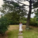 제주어머니집 | 제주도 에어비앤비 추천 한경면 독채 어머니집 후기