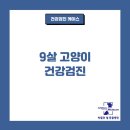 9살 고양이 프리미엄 건강검진[고양이 건강검진][달서구 동물병원][박물관옆동물병원]