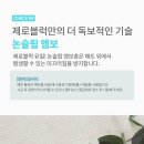 알파나주 이미지