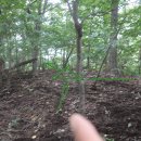 장항리 마을회관 이미지