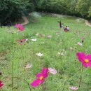 흥부공원 앞　 이미지