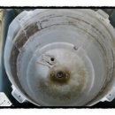 로하스크린 이미지