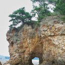 솔향기