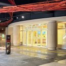 소노펠리체 비발디파크 | 홍천 소노펠리체 비발디파크 후기