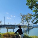 더보리치킨 이미지