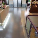 하이댕댕 이미지