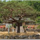 팔공산올레길 4코스 이미지