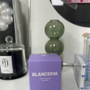 디바 | 요즘 정착템 블랑디바 파운데이션 솔직후기ෆ