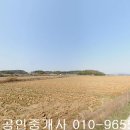 세지면사무소 이미지