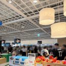 팍스푸드 이미지