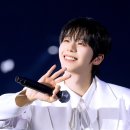 봄날에햇살 이미지