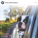에코모터스 네이버블로그