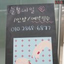 네일,늘봄 이미지