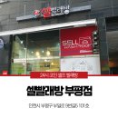 셀빨래방인천 이미지