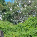 상화농장 이미지