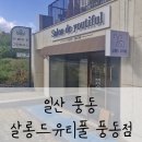 살롱드유티풀