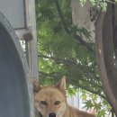 찬호농장 이미지