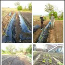 와리농장 이미지