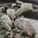 럭키가이 이미지