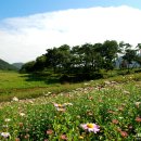 풍경이 머무는 곳 이미지