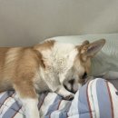 영우워터 | 첫 취업, 첫 출근