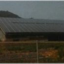 일광에너지 태양광발전소 이미지