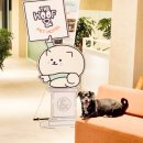 더위크앤리조트(더우프앤) 이미지